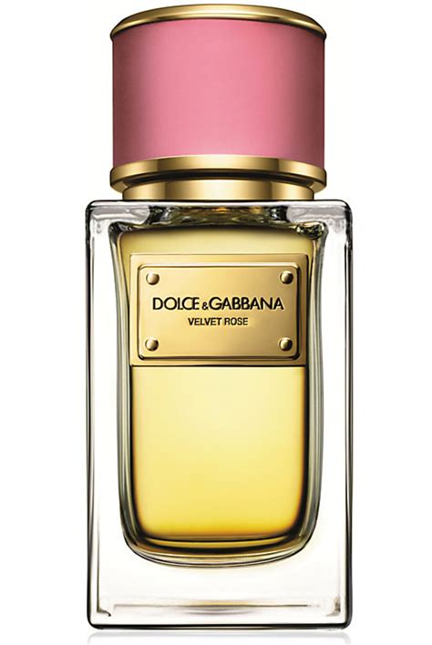 dolce gabbana floral perfume|dolce gabbana perfume women feminine.